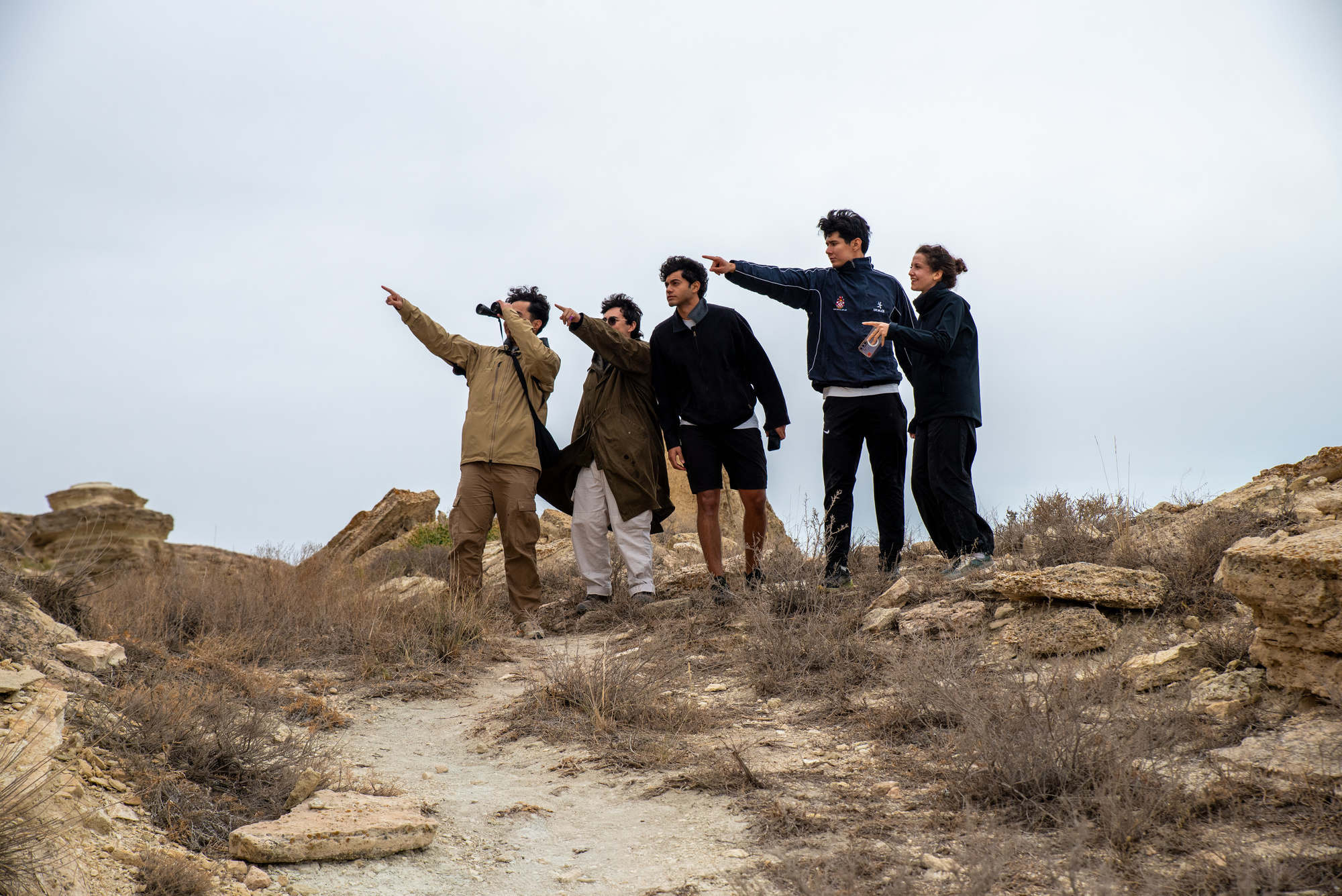 Совместные поездки